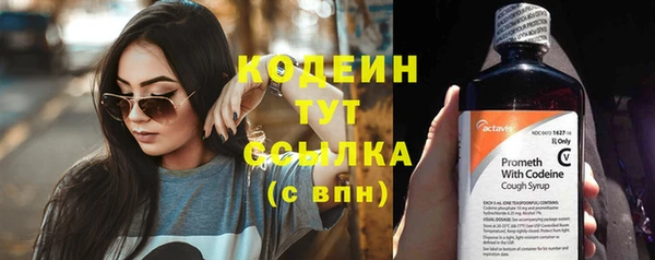 прущие грибы Белоозёрский