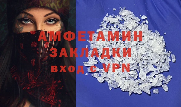 трава Белокуриха