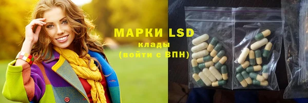прущие грибы Белоозёрский