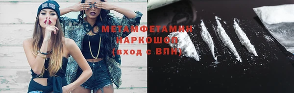 трава Белокуриха