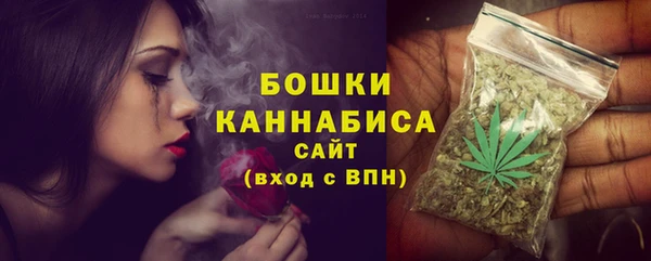 трава Белокуриха