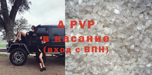 прущие грибы Белоозёрский