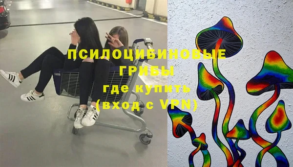 прущие грибы Белоозёрский