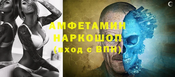 трава Белокуриха