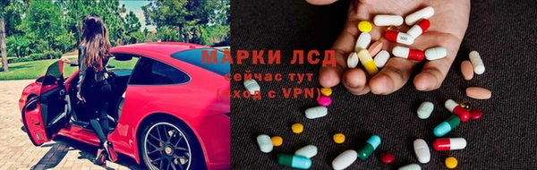 прущие грибы Белоозёрский
