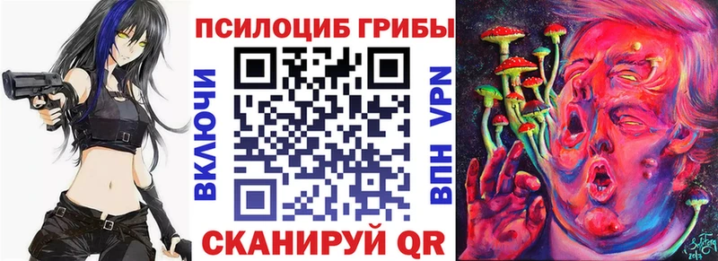 Псилоцибиновые грибы ЛСД  ОМГ ОМГ онион  Кущёвская 