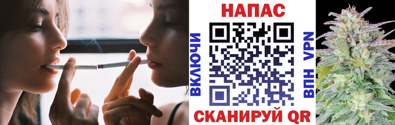 Каннабис марихуана  Кущёвская 